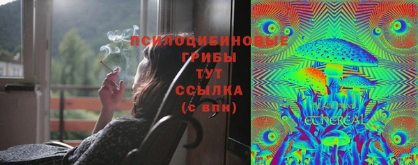 твердый Абинск
